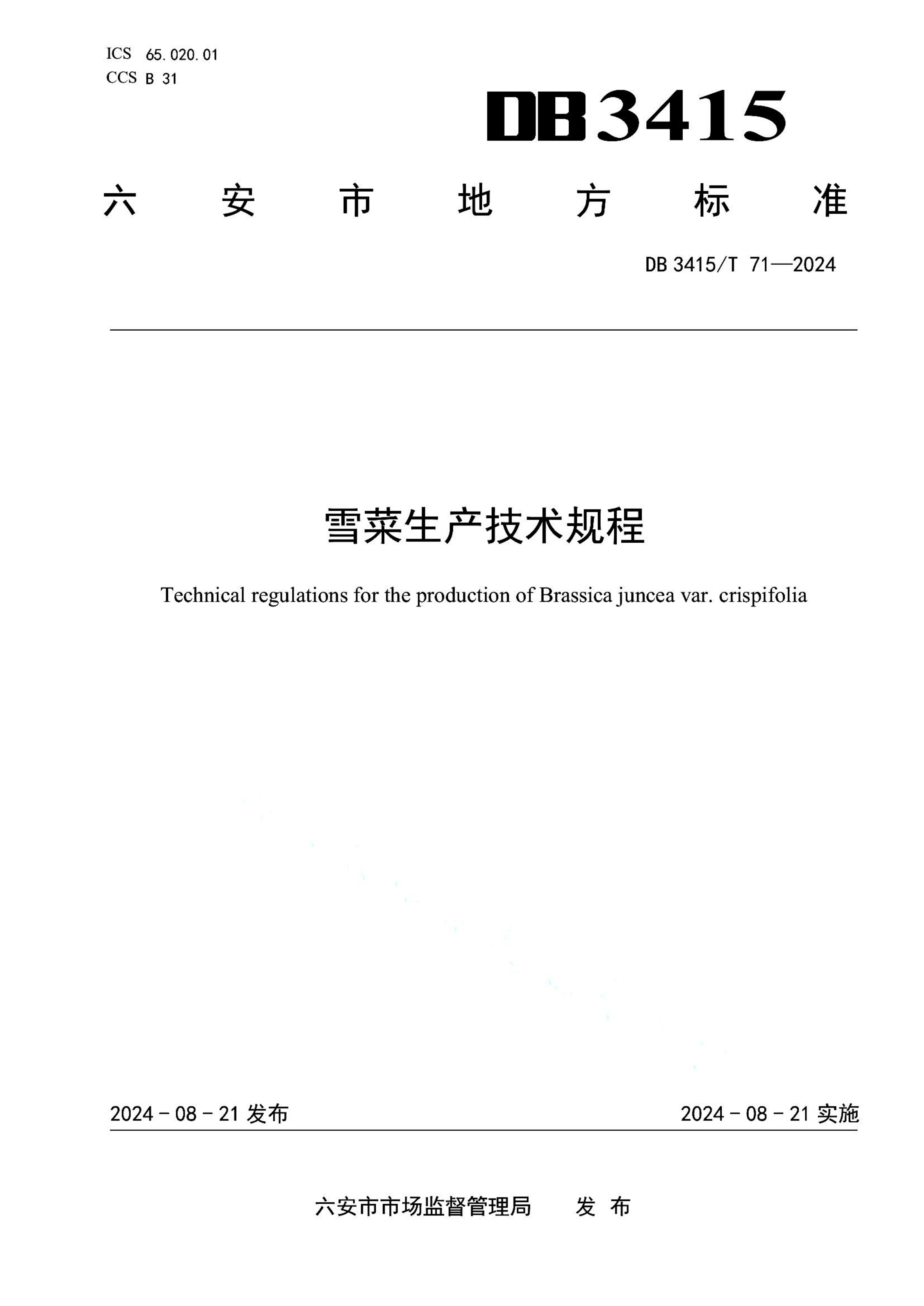 资源详情图